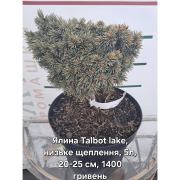 Ялина Talbot lake